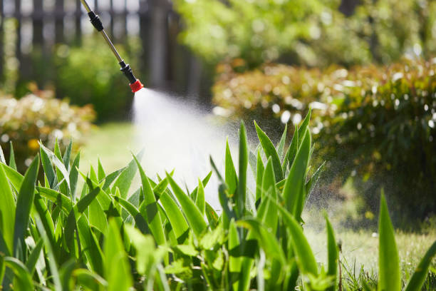 24/7 Emergency Mosquito Control experts in Pleasant Hill, MS