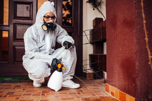 Reliable Mosquito Control contractor in Pleasant Hill, MS by Show Me Pest Control