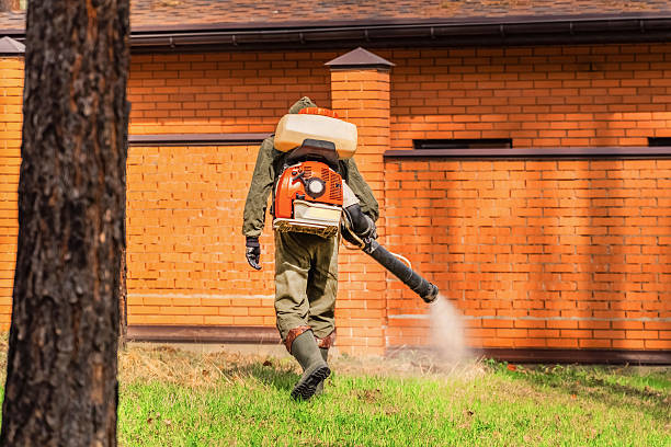 Top rated local Mosquito Control specialists in Pleasant Hill, MS